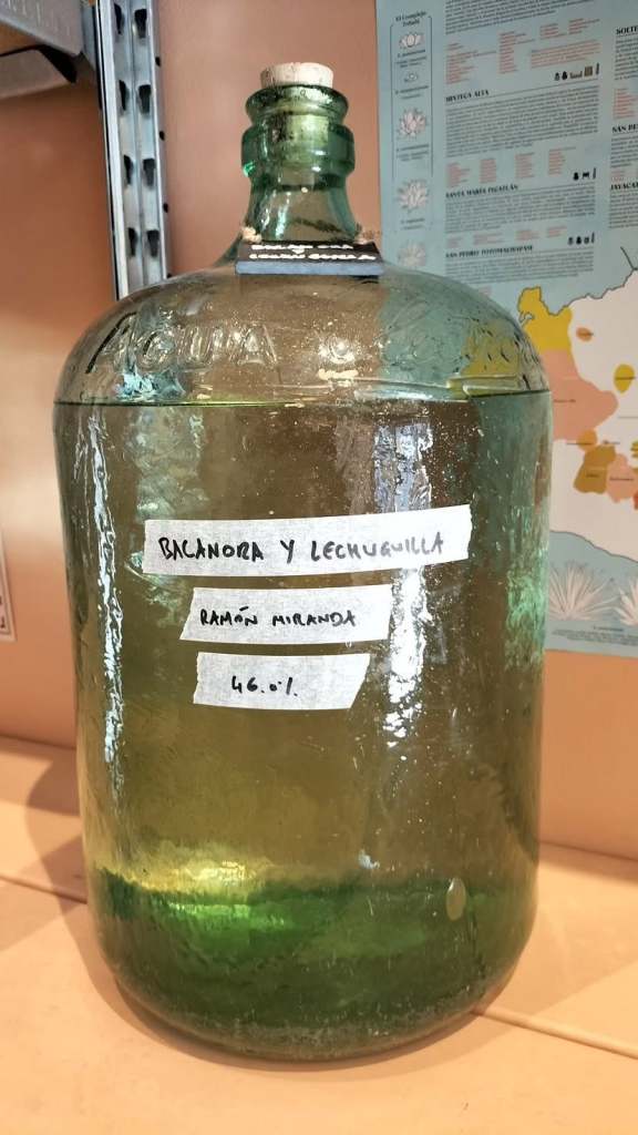 A jug of bacanora at Sorbito.